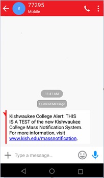 Screenshot of text message alert